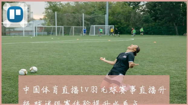 中国体育直播tv羽毛球赛事直播升级 球迷观赛体验提升成看点
