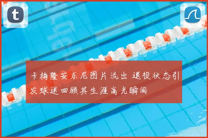 卡梅隆安东尼图片流出 退役状态引发球迷回顾其生涯高光瞬间