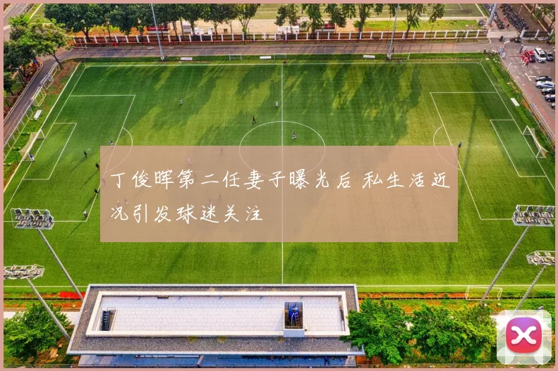 丁俊晖第二任妻子曝光后 私生活近况引发球迷关注