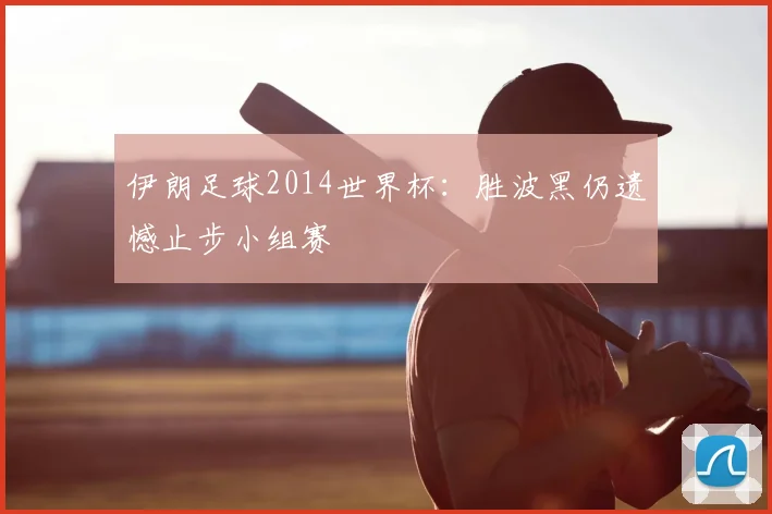 伊朗足球2014世界杯:胜波黑仍遗憾止步小组赛